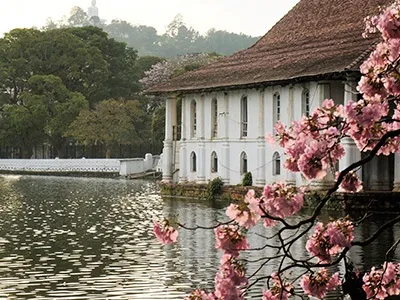 Kandy